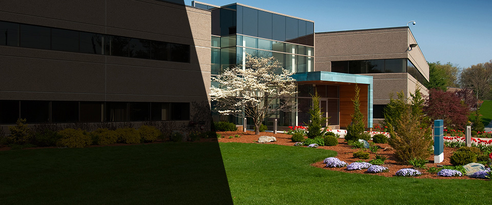 Export Landscapers