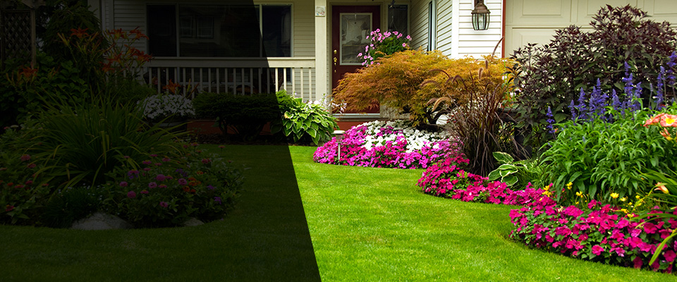 Export Landscapers