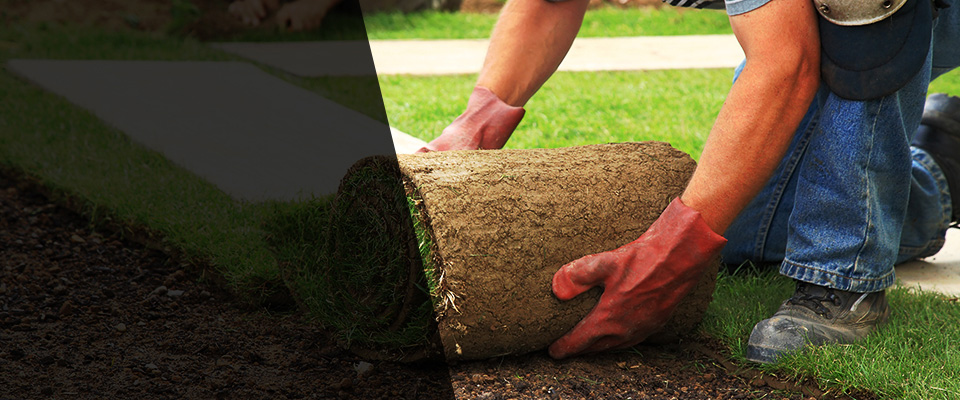 Export Landscapers